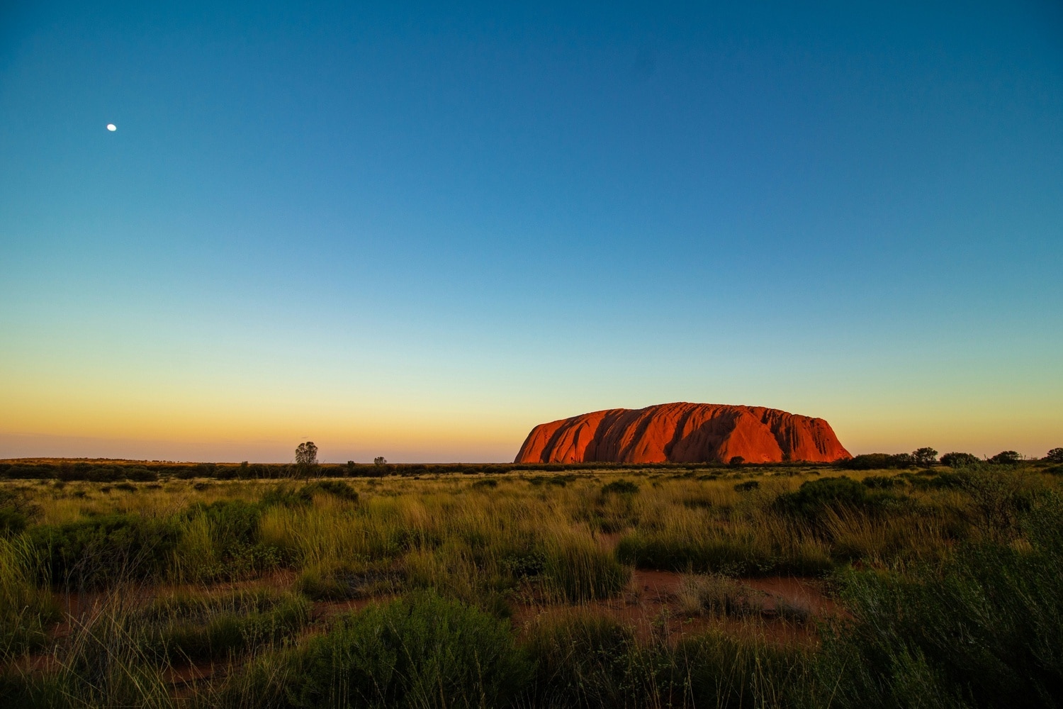 Burnie, Tasmania’s North-West: What Investors Should Know