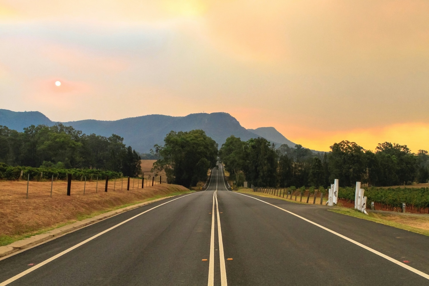 Why Bendigo is a good buy